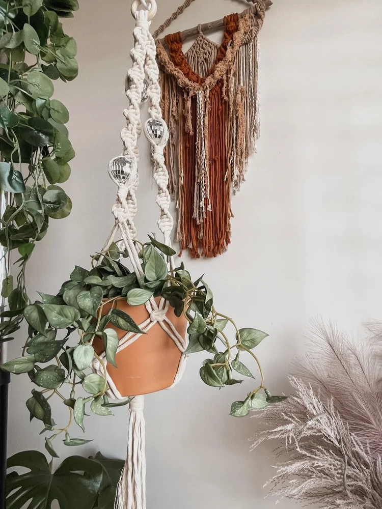 hanging plant holder 6-Pack Macrame Plant Hanger main image 0