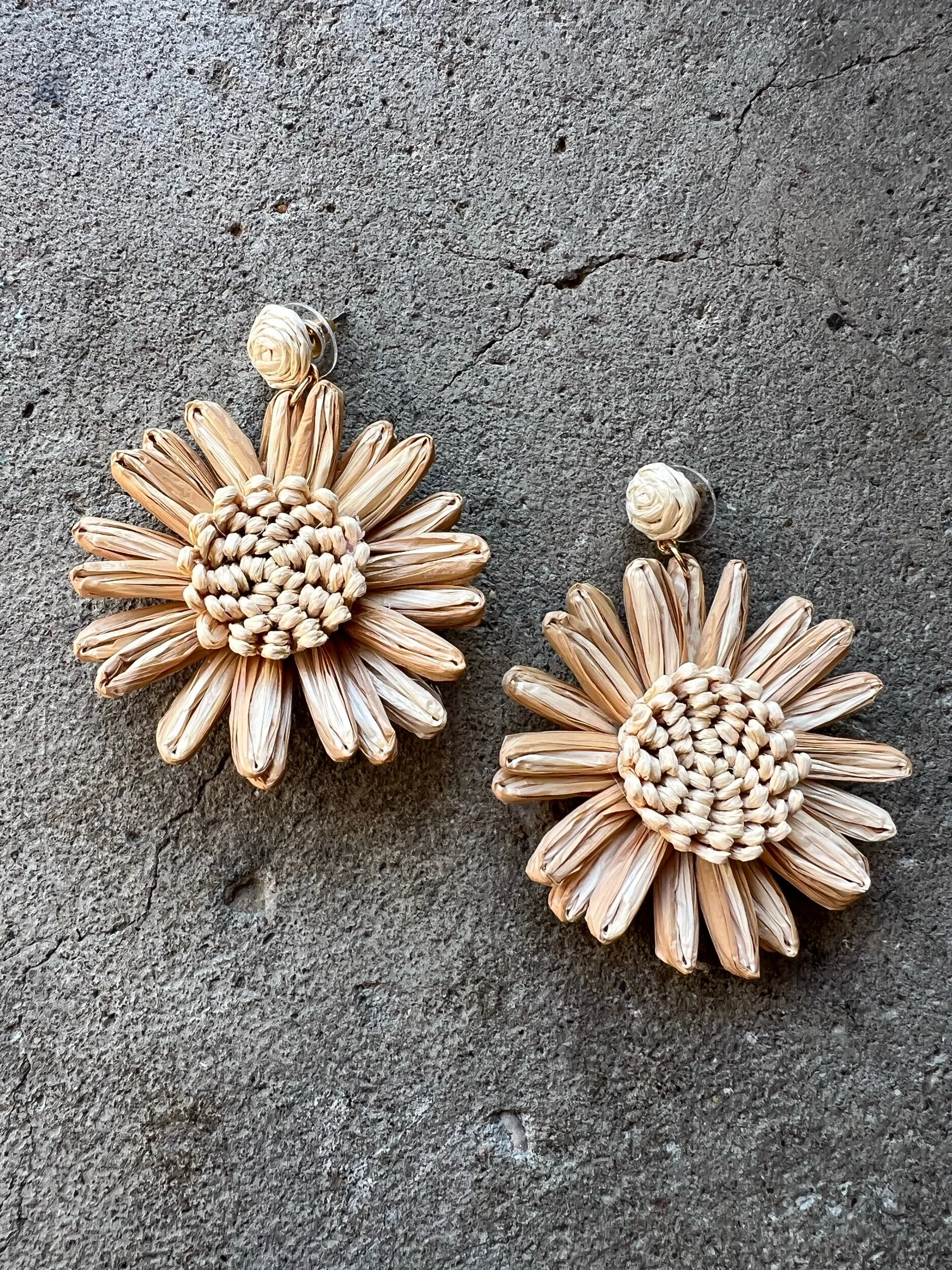 2EB1A623-CCE6-4C2E-9F28-2A038E8FAC8B