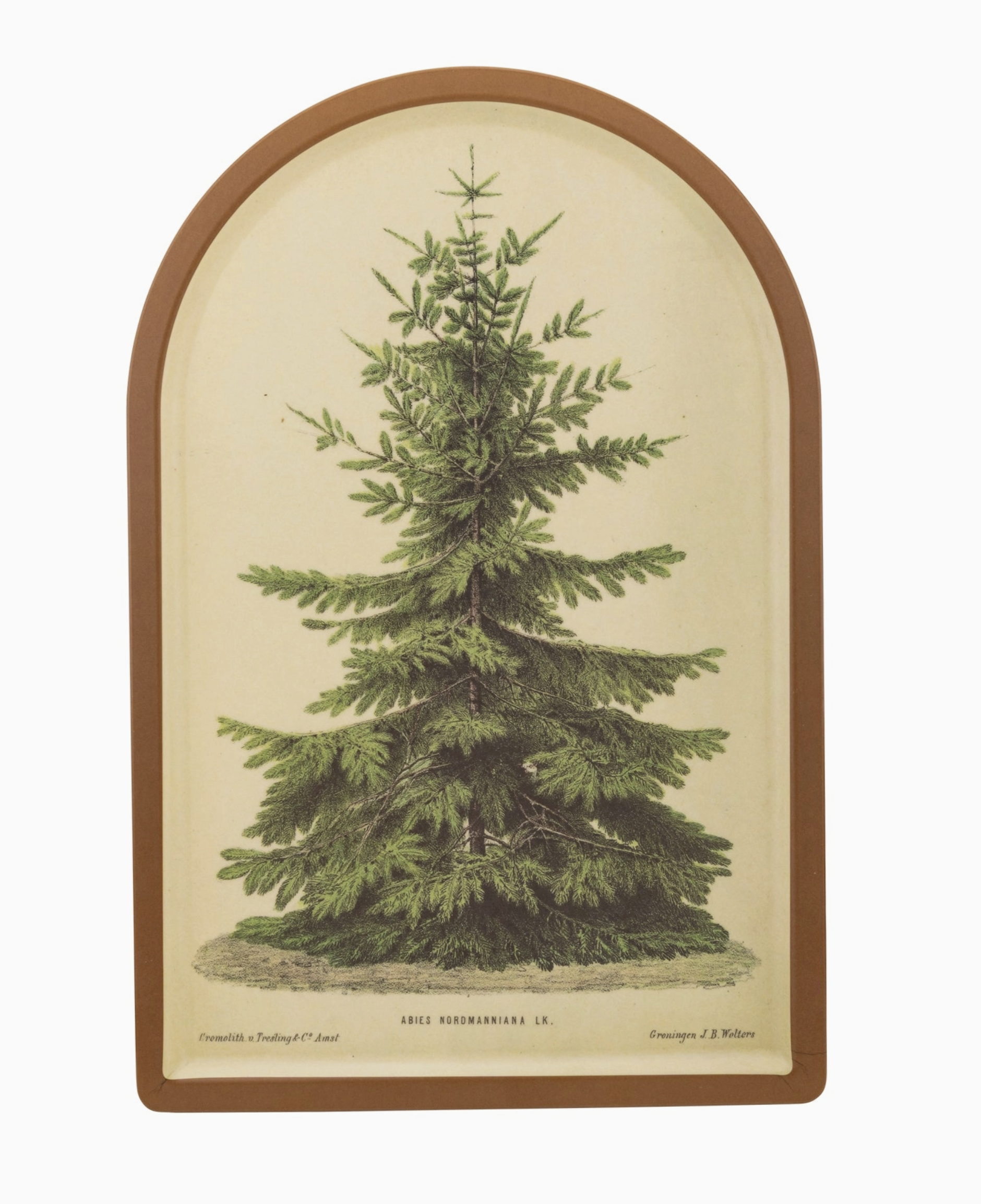 Screen Shot 2025-10-28 at 11.49.11 AM.png