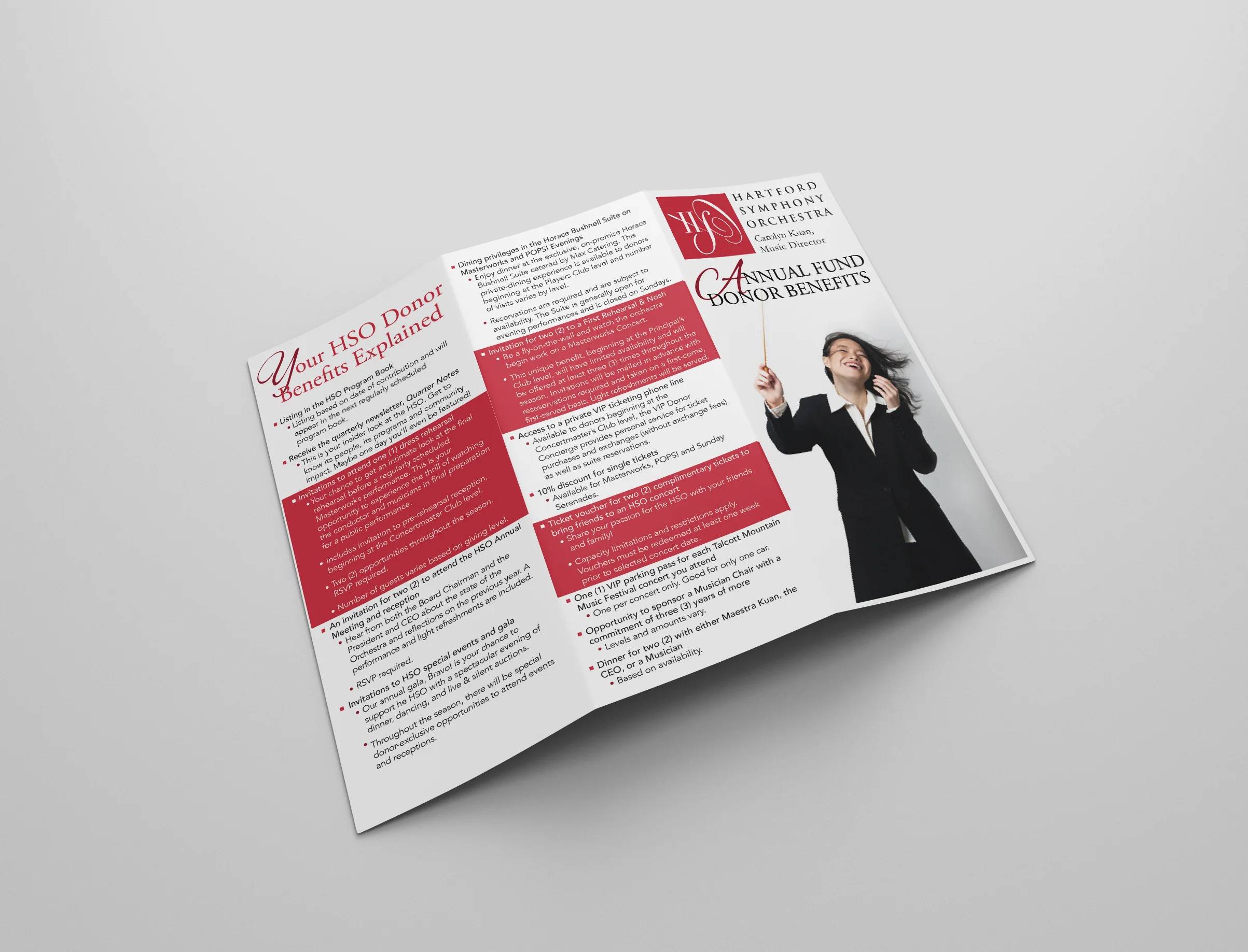 HSO Brochure 1.jpg