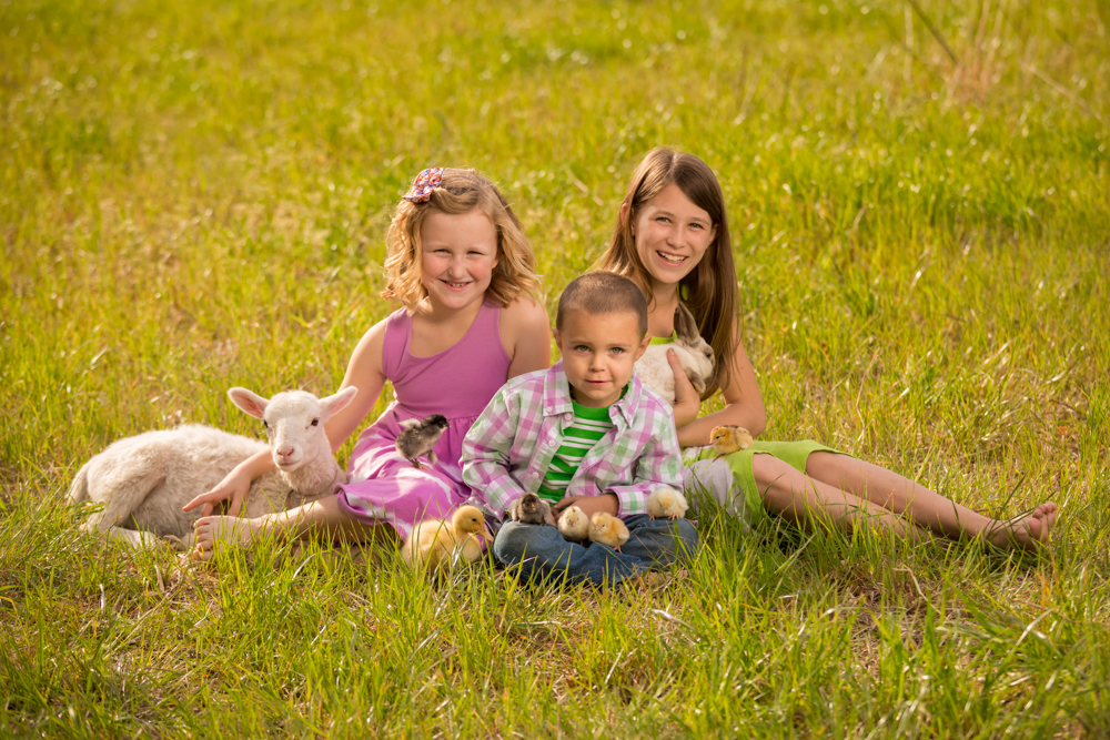 Conway-farm-children-portrait-photography