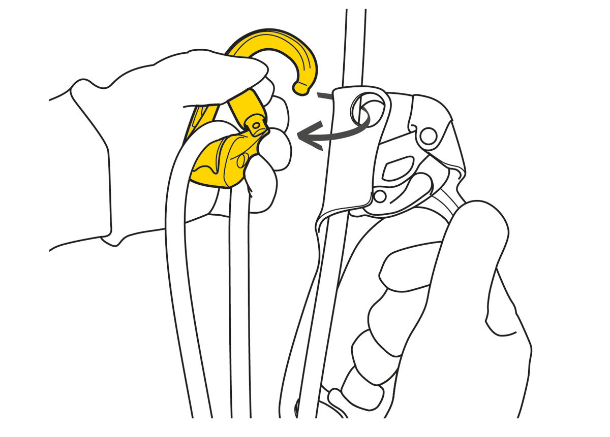 P75-ROLLCLIP-Z-focus-1_LowRes.jpeg