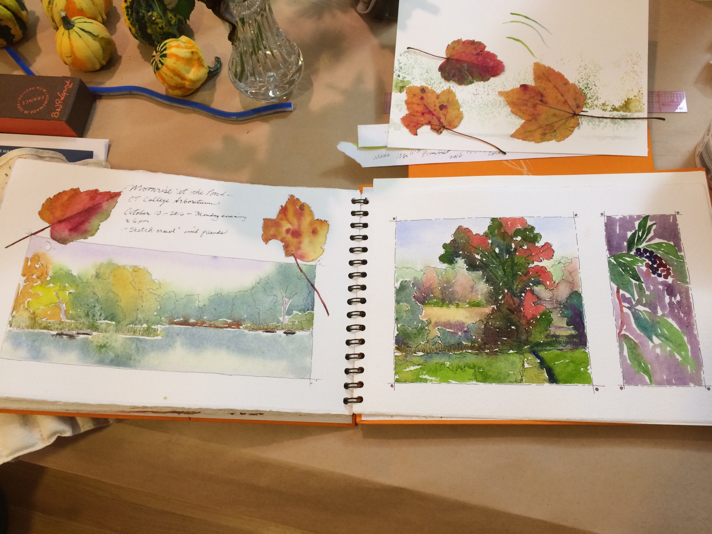What supplies do I need to get started painting with watercolors and  sketchbook journaling? — Roxanne Steed Fine Art & Workshops