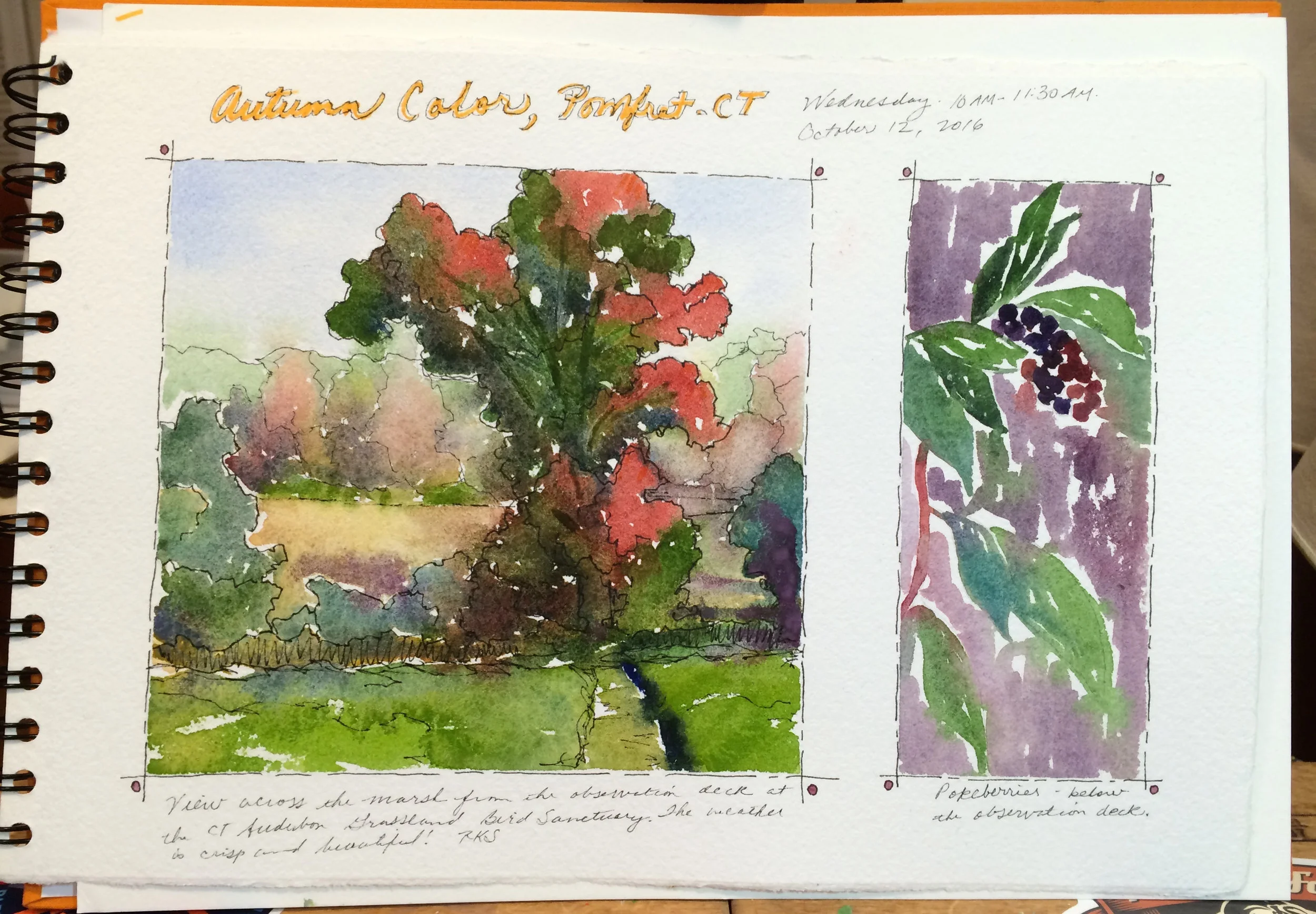 Autumn Color, Pomfret 10-2016.jpg