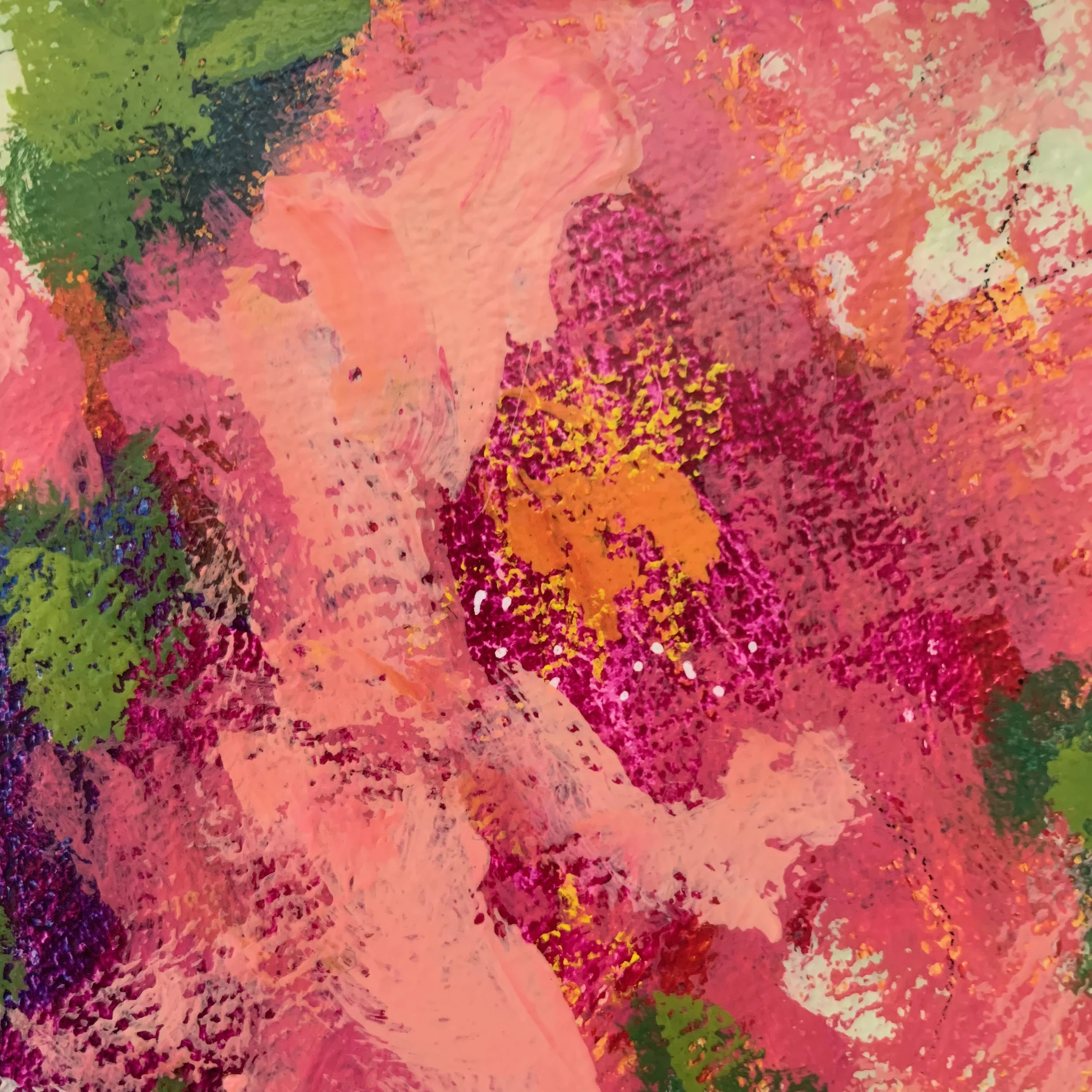 Pretty in Pink, close up.jpg