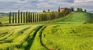 only in Italy!!