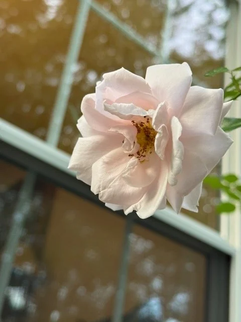 Know any late bloomers? 