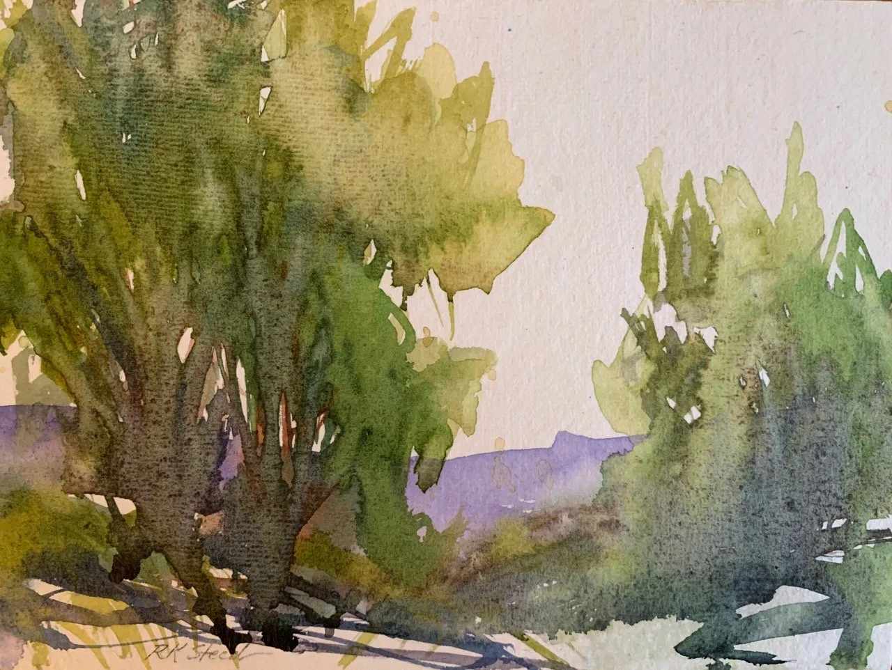 Afternoon Shadows, full pic, Roxanne Steed.jpg
