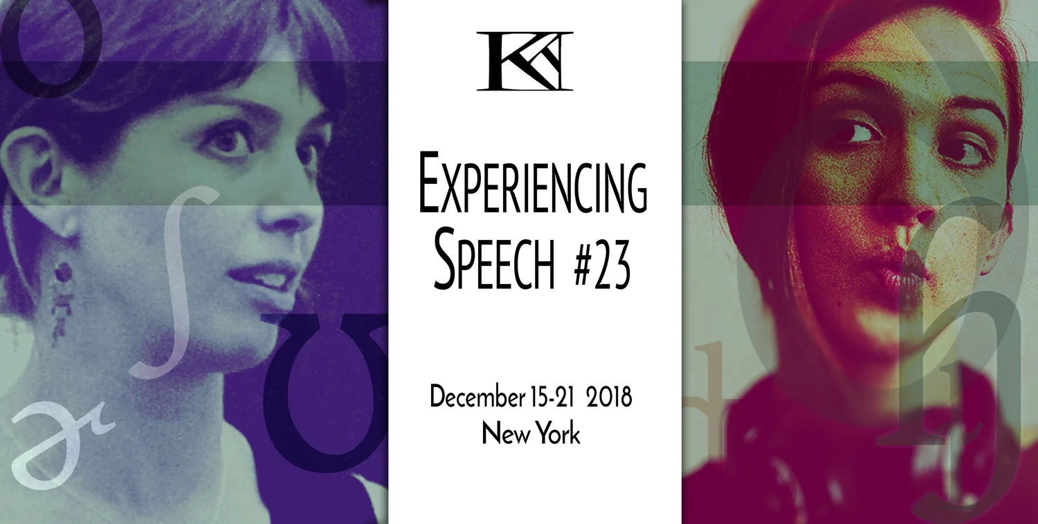 Experiencing Speech