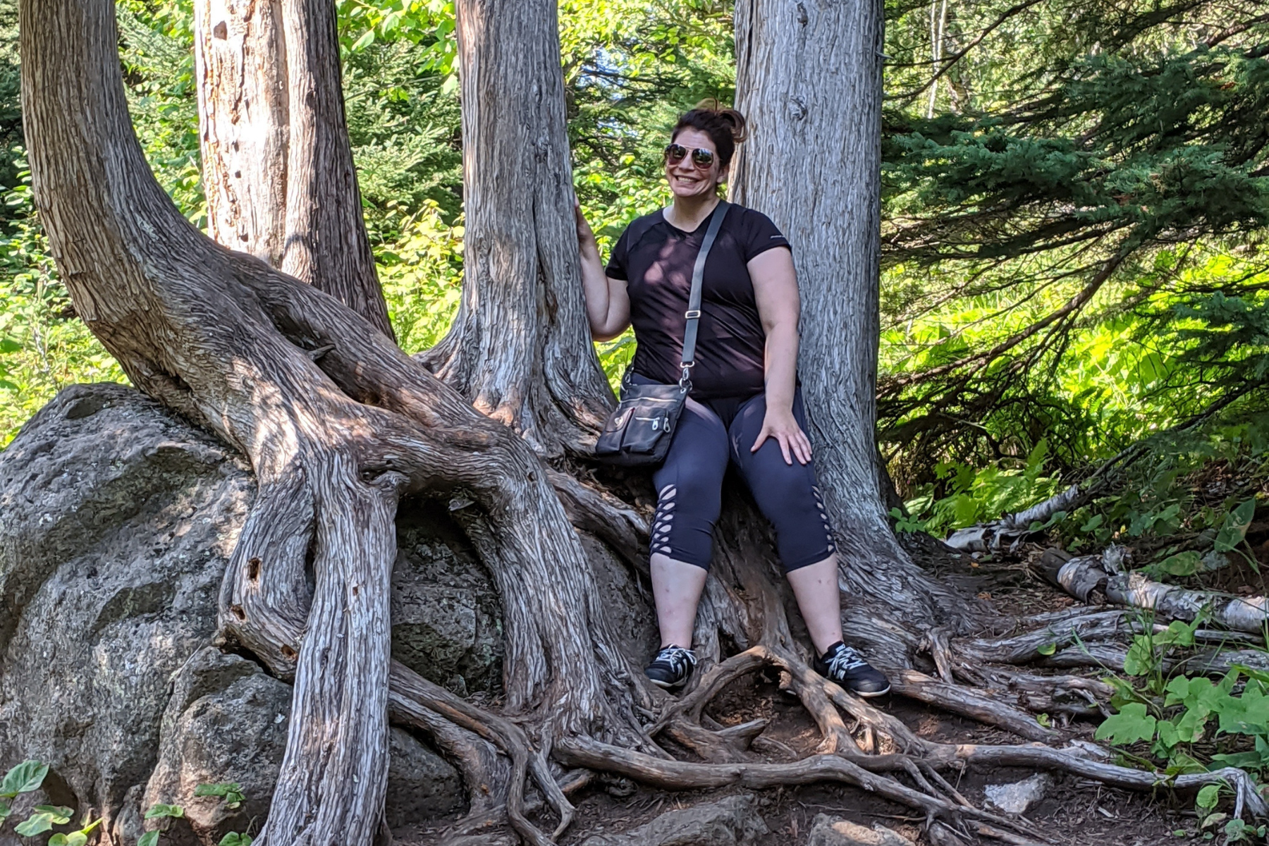 Forest Bathing: Finding Harmony in Nature