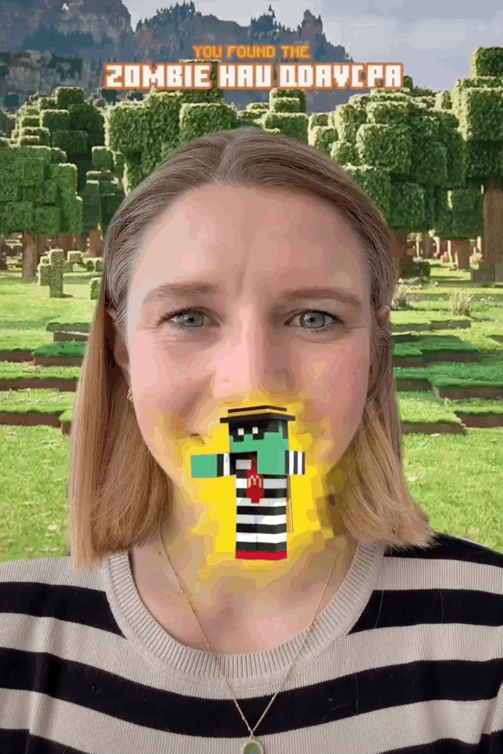 img vert mcds minecraft 11.gif