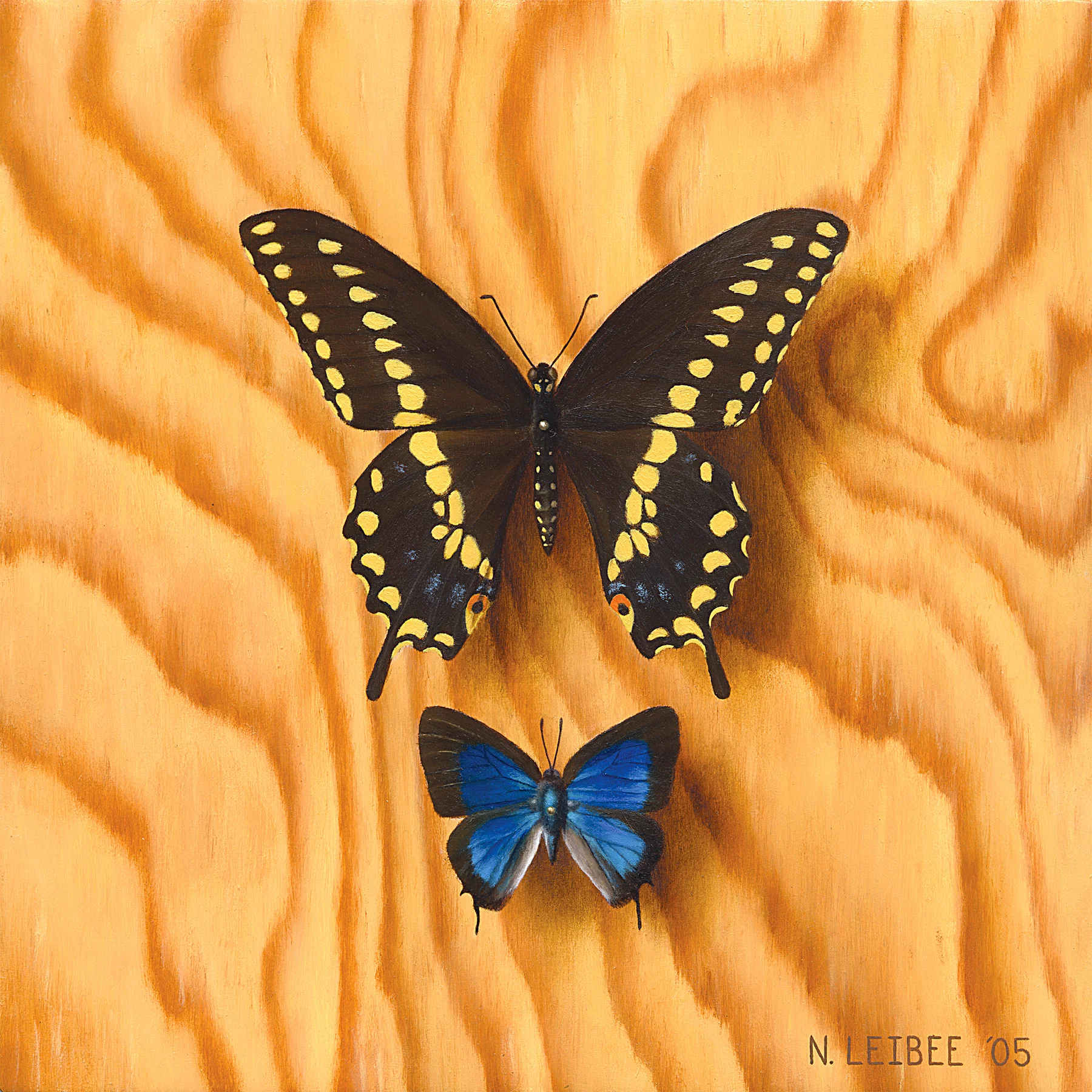 Pinned Butterflies - 6"x6", Oil on Panel, 2005