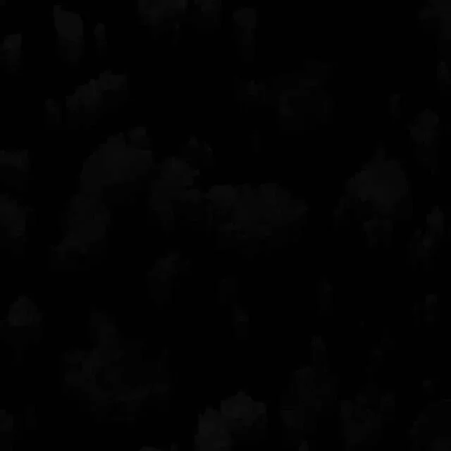 #blackouttuesday