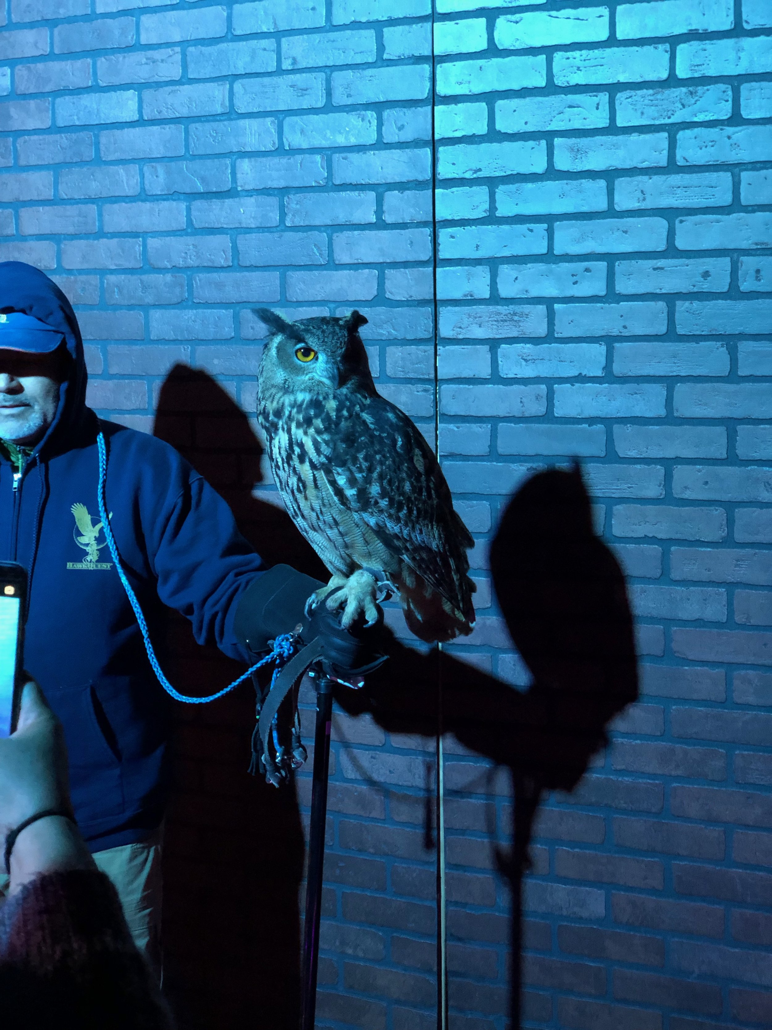 Aarica was there for the owls though, really.