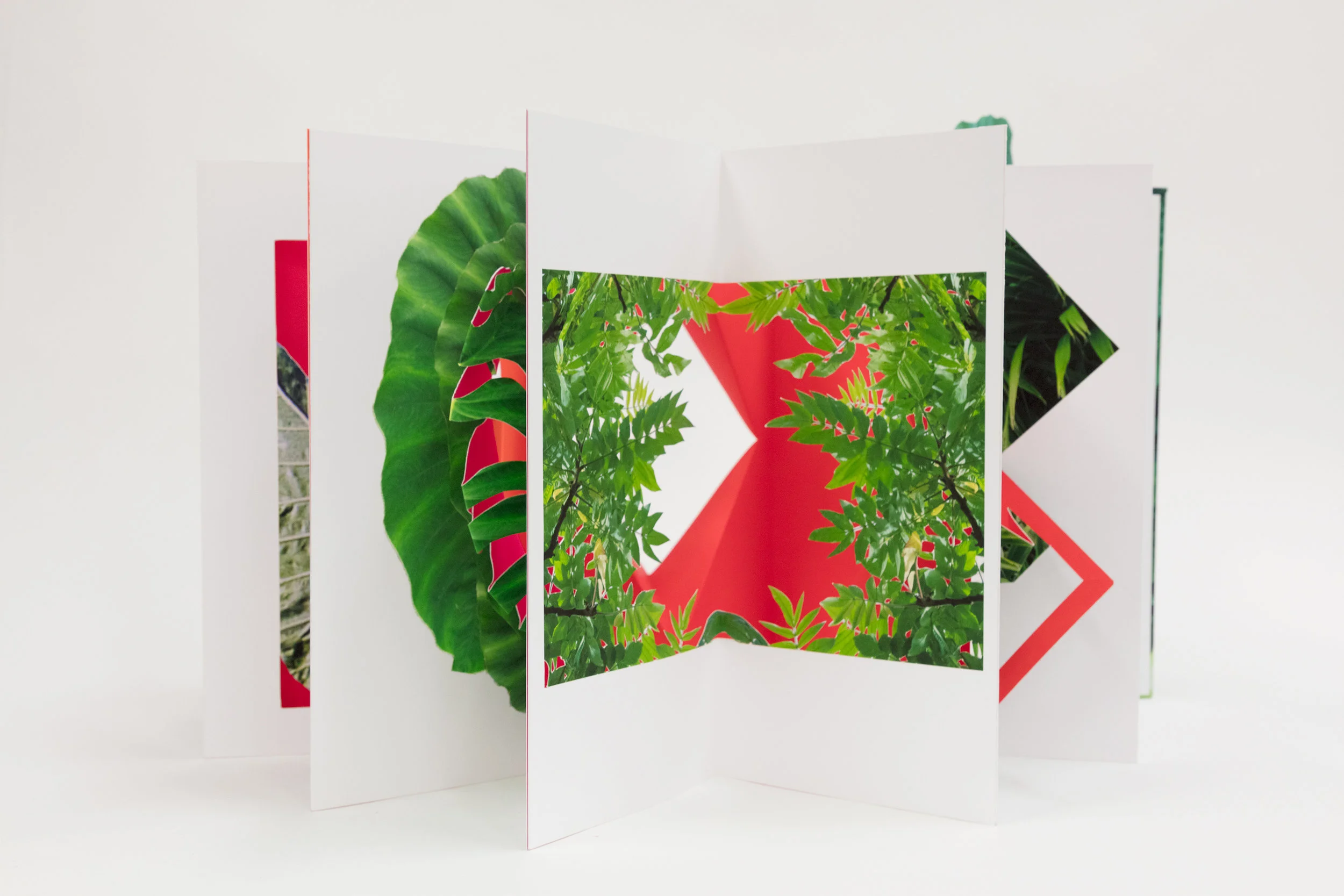 Botanicals