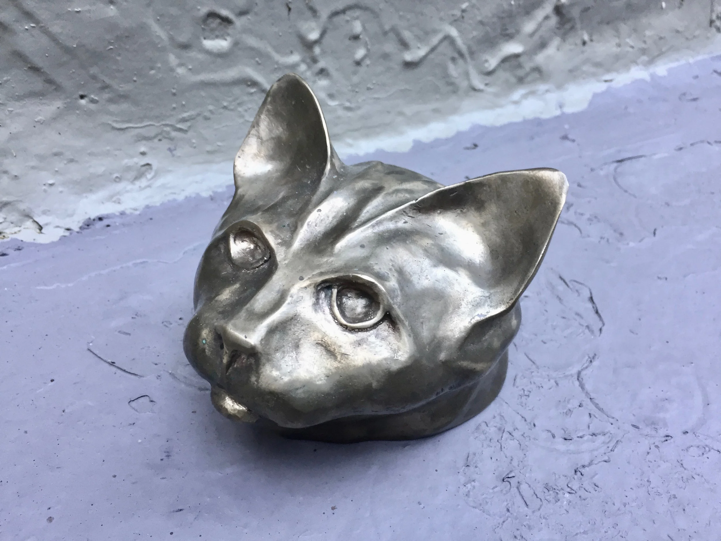 Cat2a.jpg
