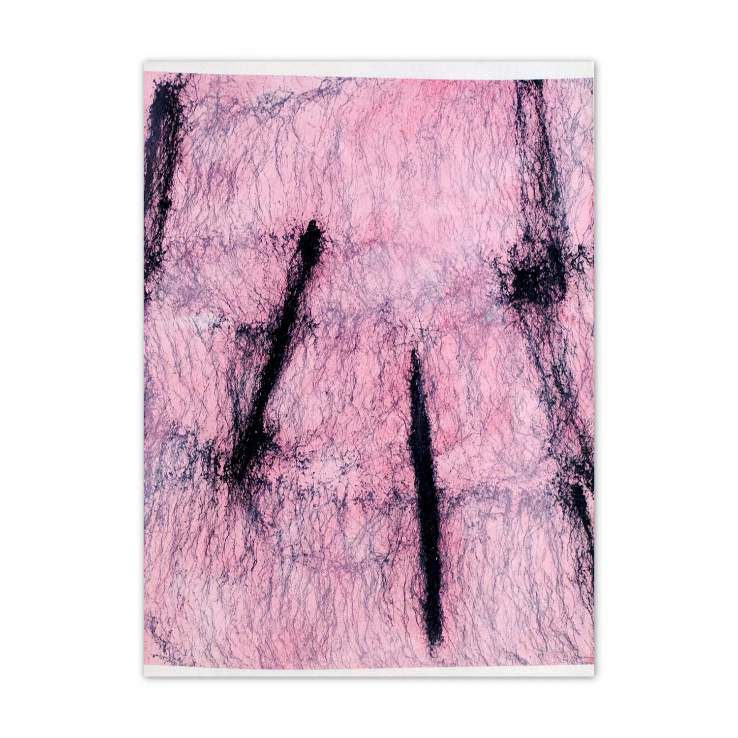 2017.002.025_ffffff.jpg