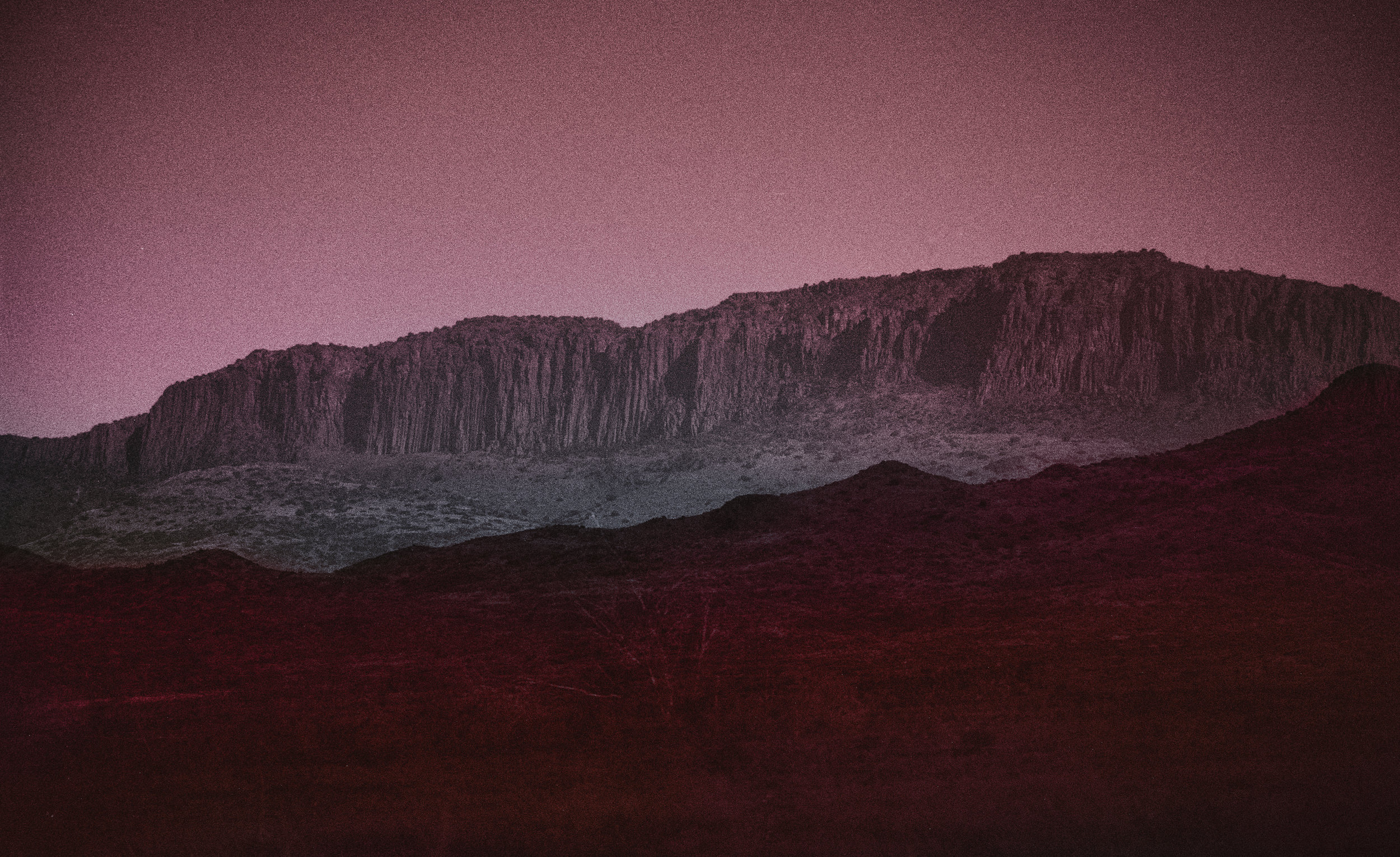 coloredmarfa-2.jpg