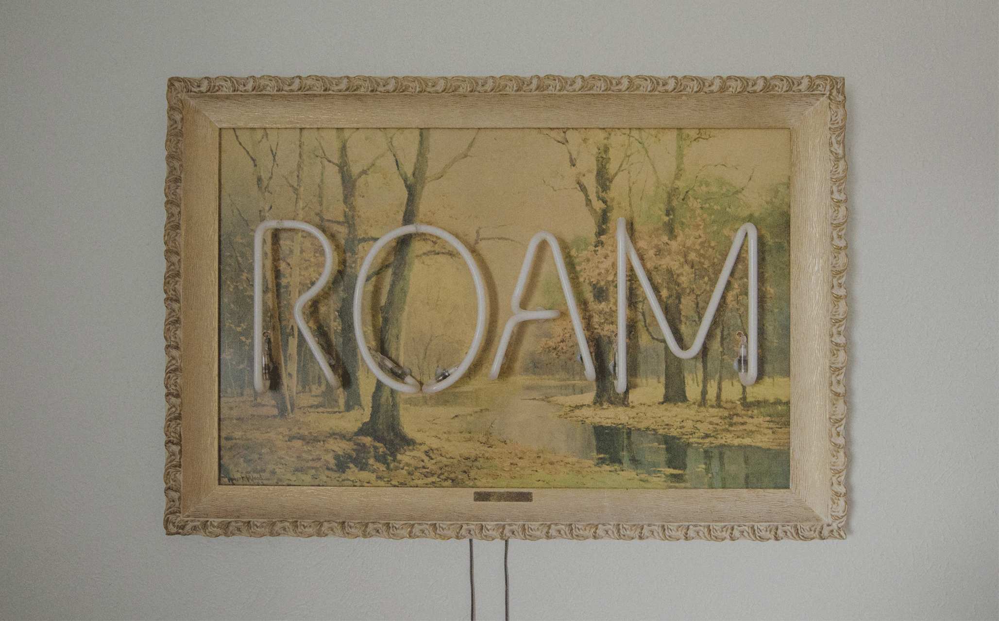 ROAM-1.gif