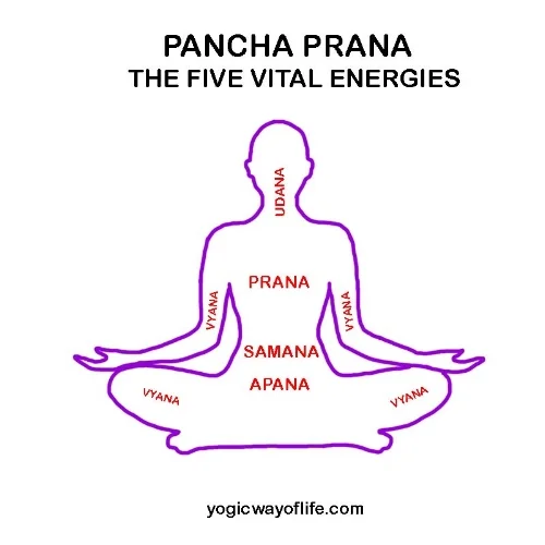 Pancha_Prana_Five_Vital_Energy_Flows.jpg