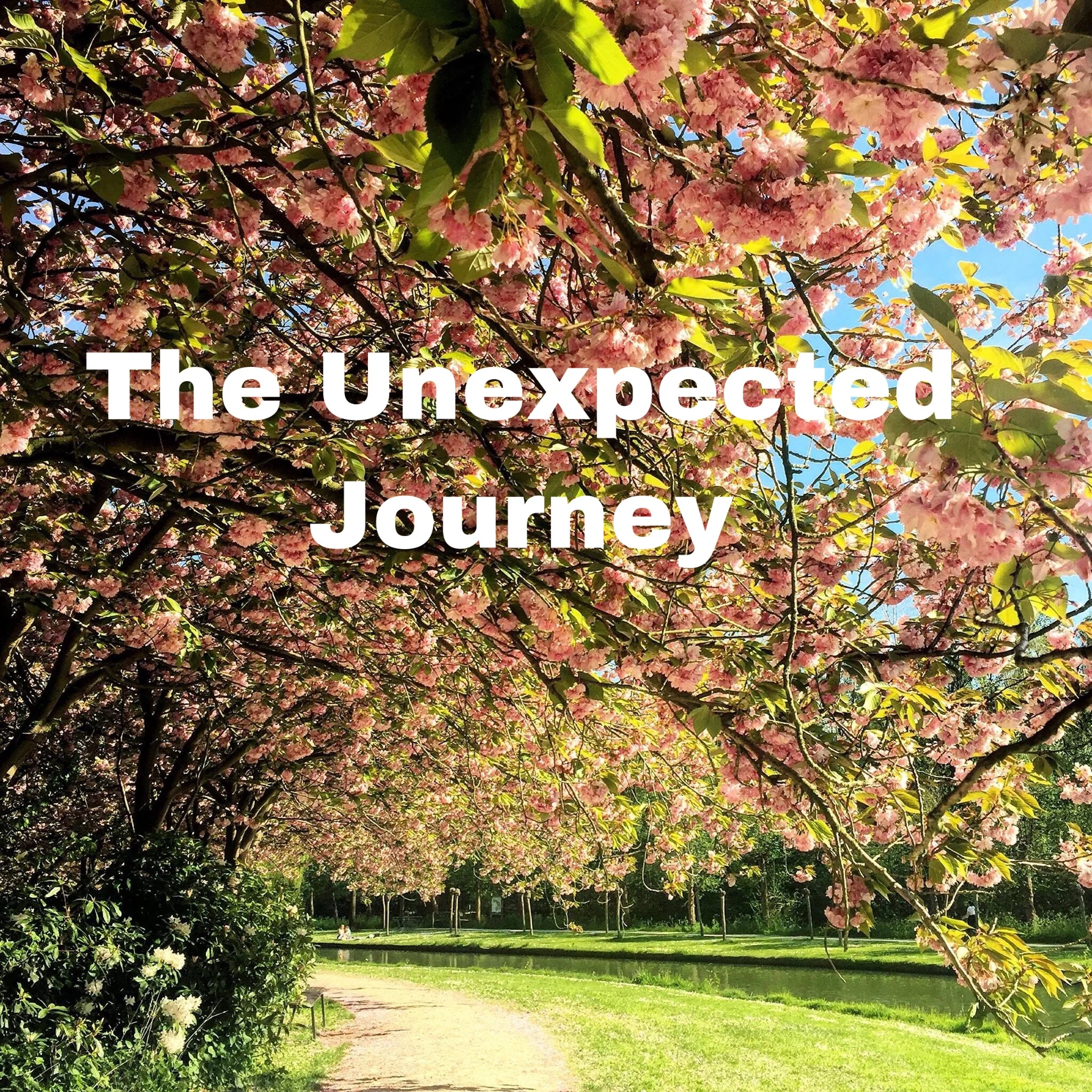 The Unexpected Journey 