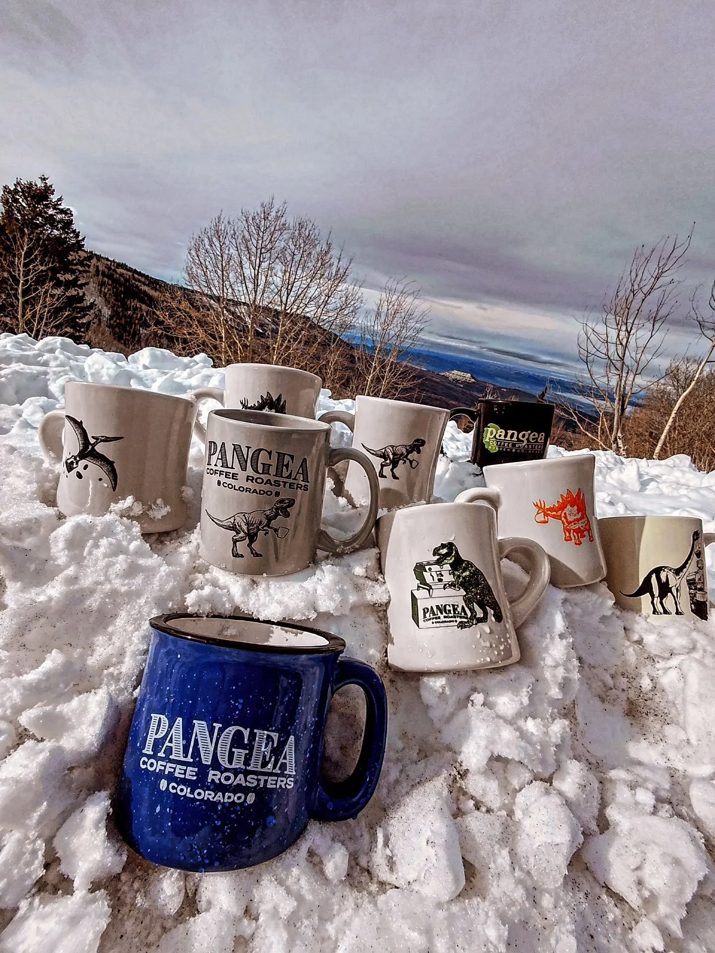 Sometimes you need the right mug to match the coffee, and the moment. ➡️
.
.
.
.
.
.
#coffee #coffeemug #coffeeislife #dino #coffeeaddict