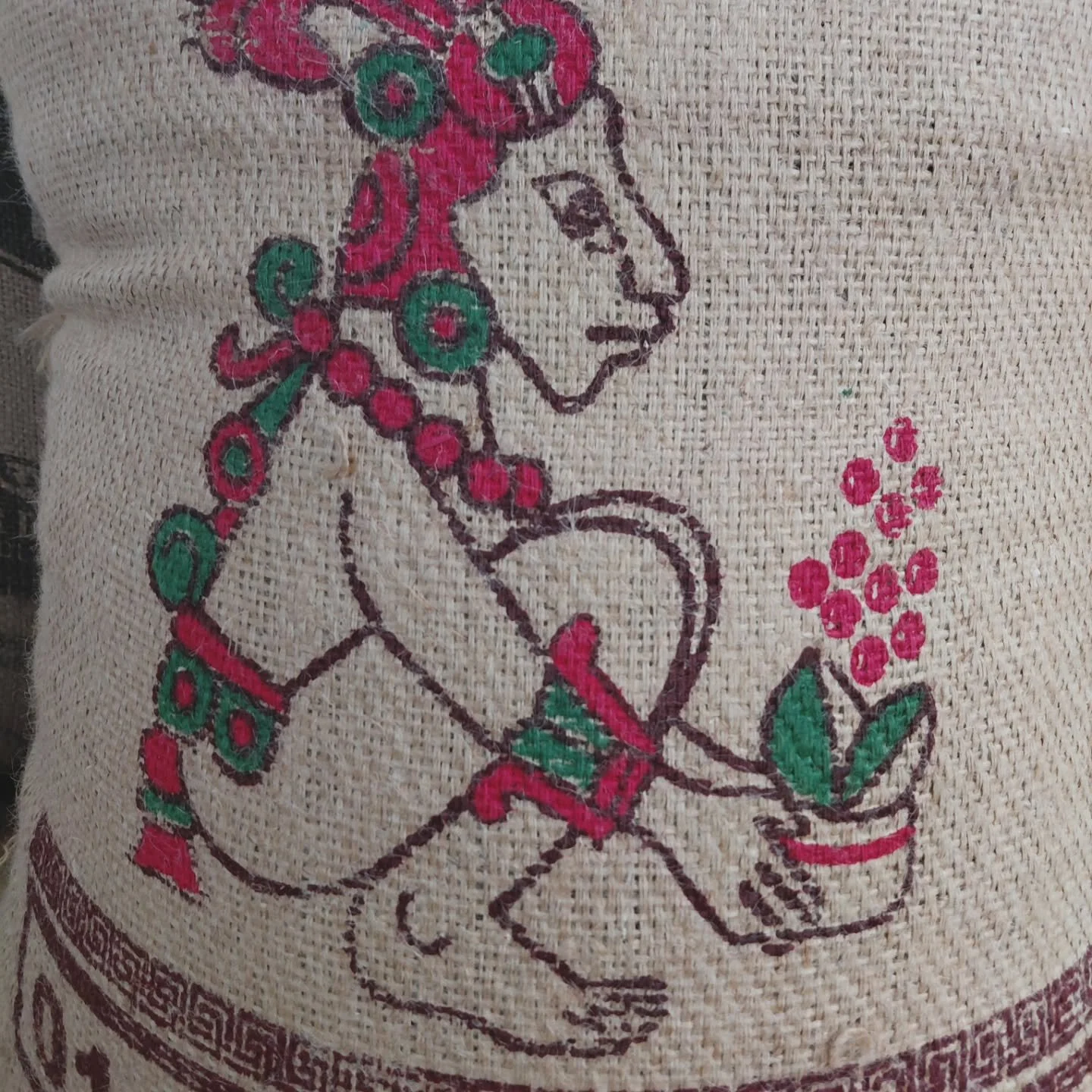 New coffees from Mexico, Honduras &amp; Ethiopia!  New T-Shirts! 
Check em out! - www.pangeacoffeeroasters.com