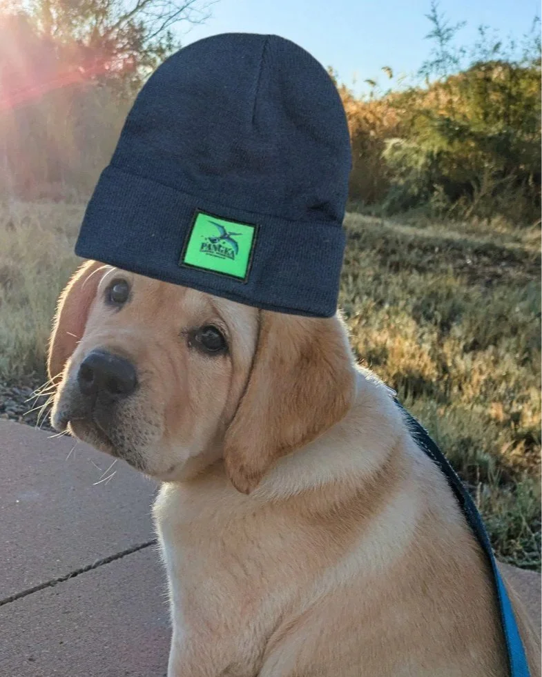 MOSESBEANIEIG.jpg