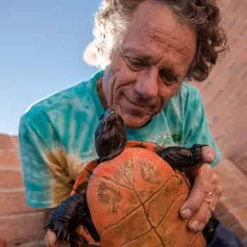 Diana's photographs are soul soothing in the clarity of their intimacy. They ring true. Diana has a gift that is central to her being, she captures the essence of belonging. ~ Mike and Mary the turtle