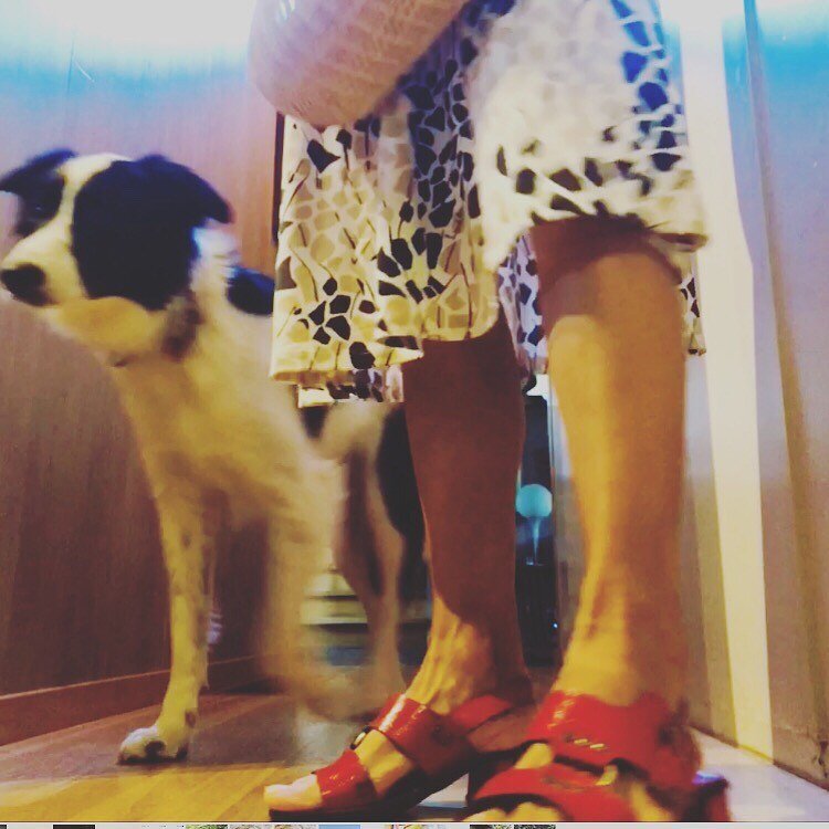 Aero. Can you take a waist down shot of my new dress and vintage Italian sandals pleeeeeeese?? #forcedfamilyfun 
#sandals
#vintageitalianshoes 
#thericetrickworked
#stylist 
Photo credit @jujupopeye