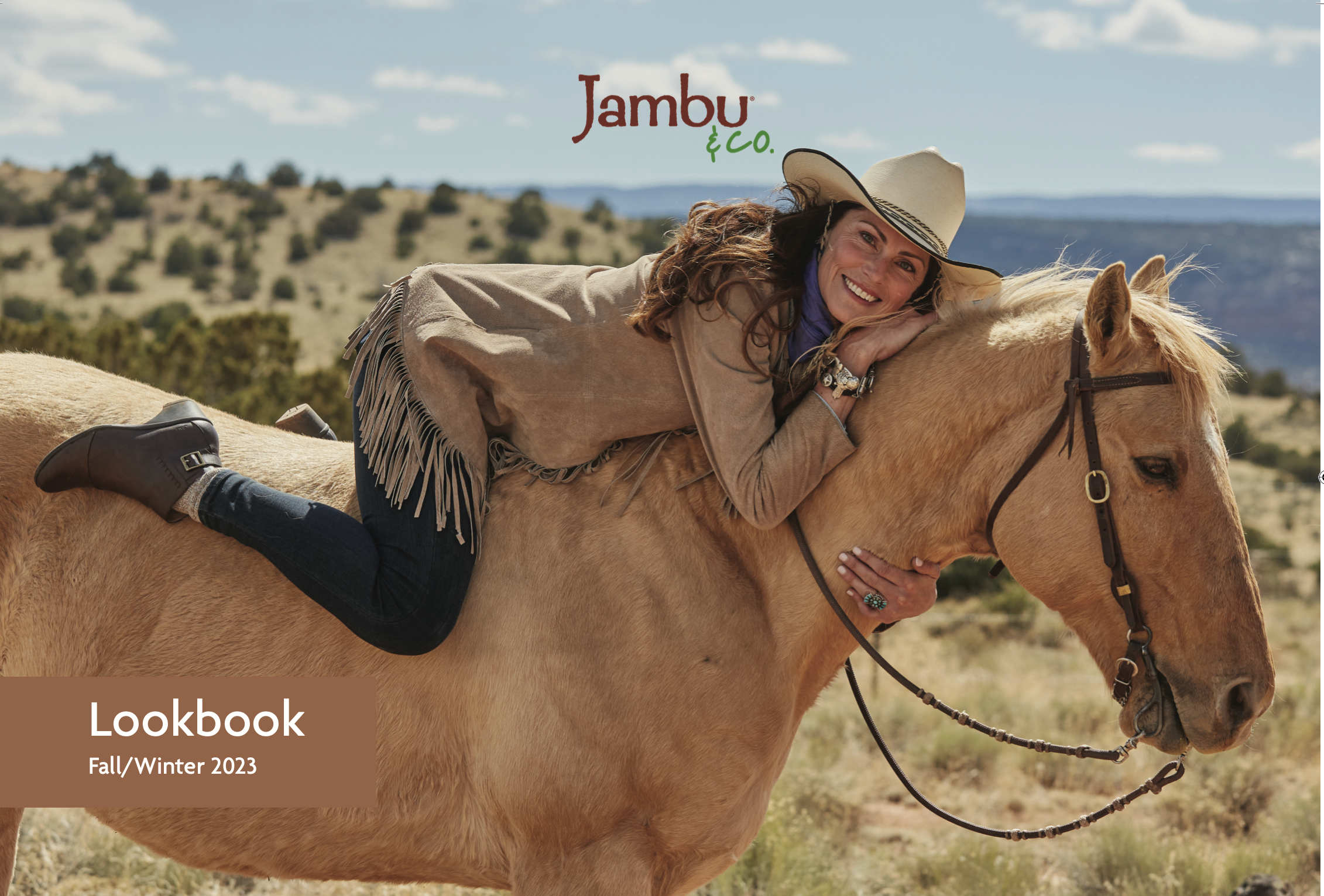 Screen Shot 2024-01-19 at 5.03.28 PM.png