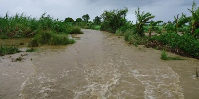 Sandy 025