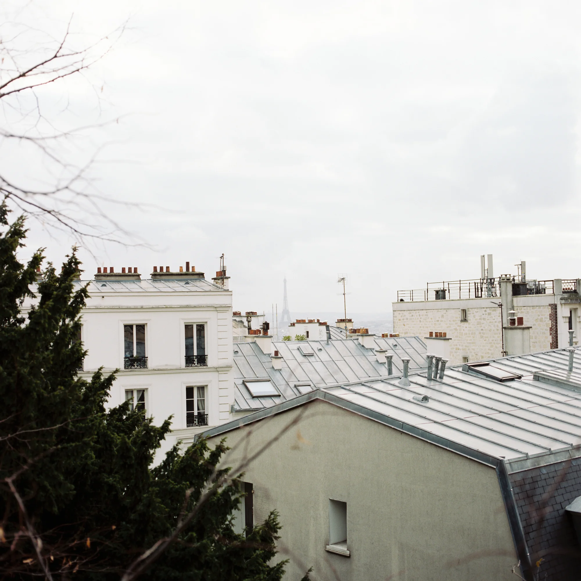 2. HIGHLIGHTS BLOWN IN-SCANNER (LIGHT & AIRY). Photo by David Dufeal on Kodak Portra 400.