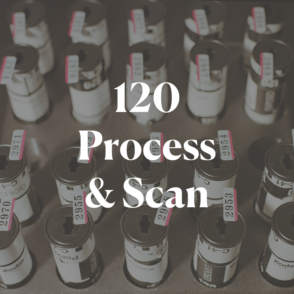 120 Film: Process & Scan