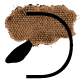 D.png
