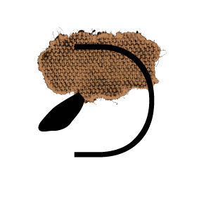 D.png