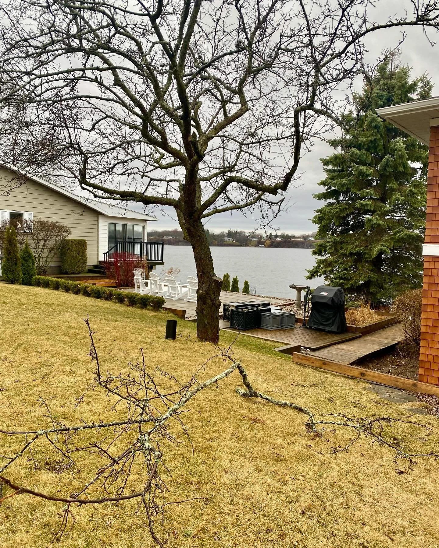 It is going to take a lot of planning to clear this disaster? 0ne of the lucky few - minimal fall out thanks to regular tree maintenance by #countyarborists #icestorm2025
