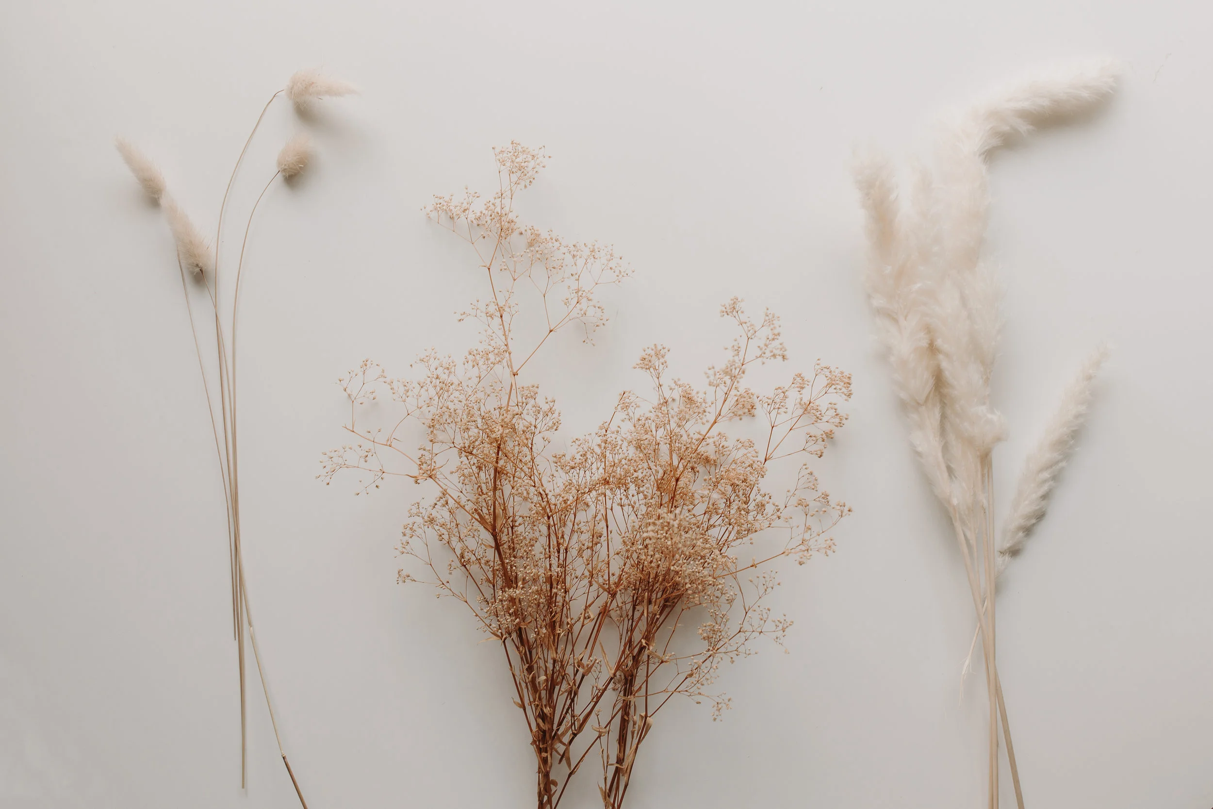 Afloral_ArrangementDIY_005.jpg
