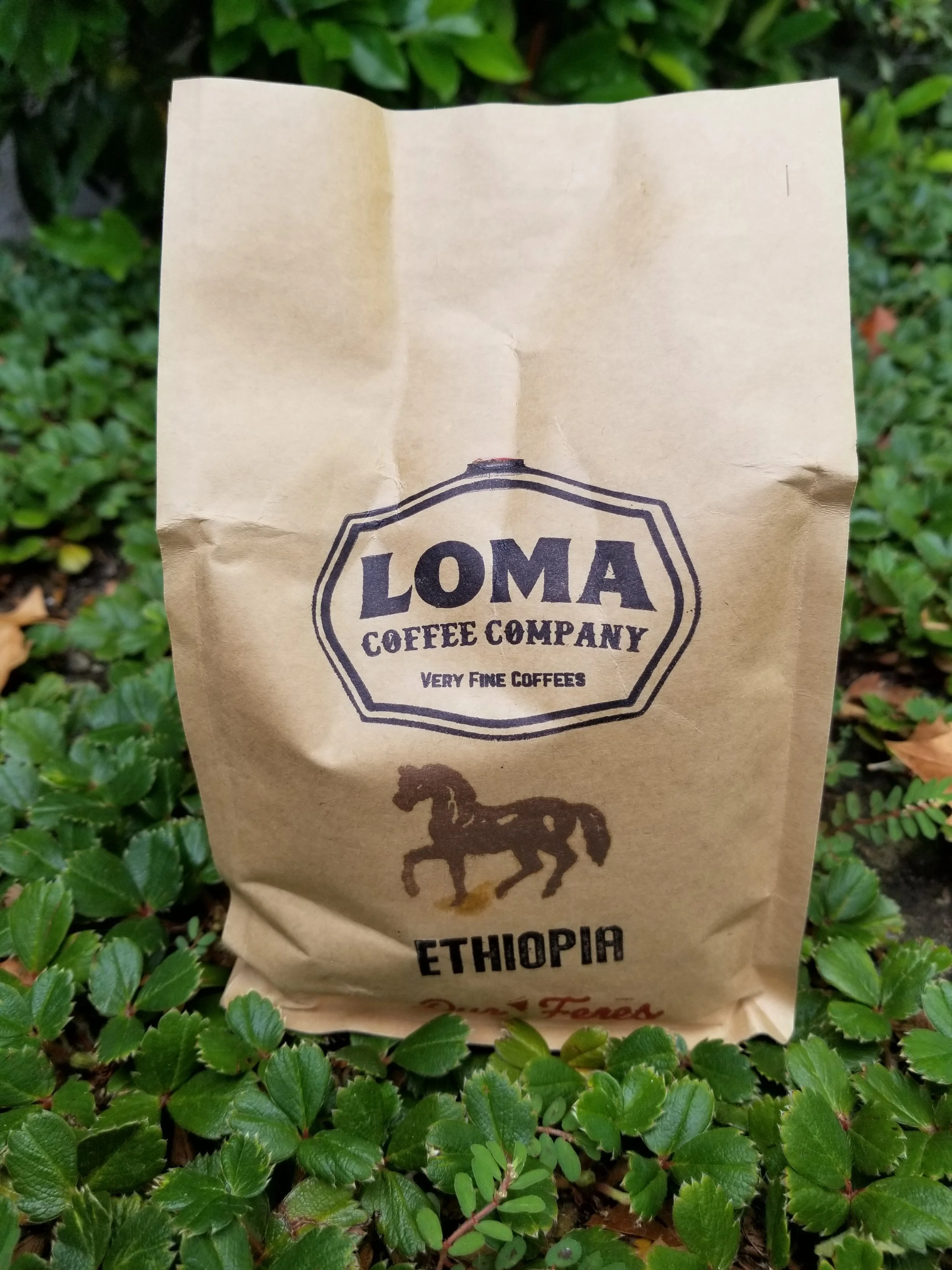 Ethiopoa Deri-Kochoha Mill - G1