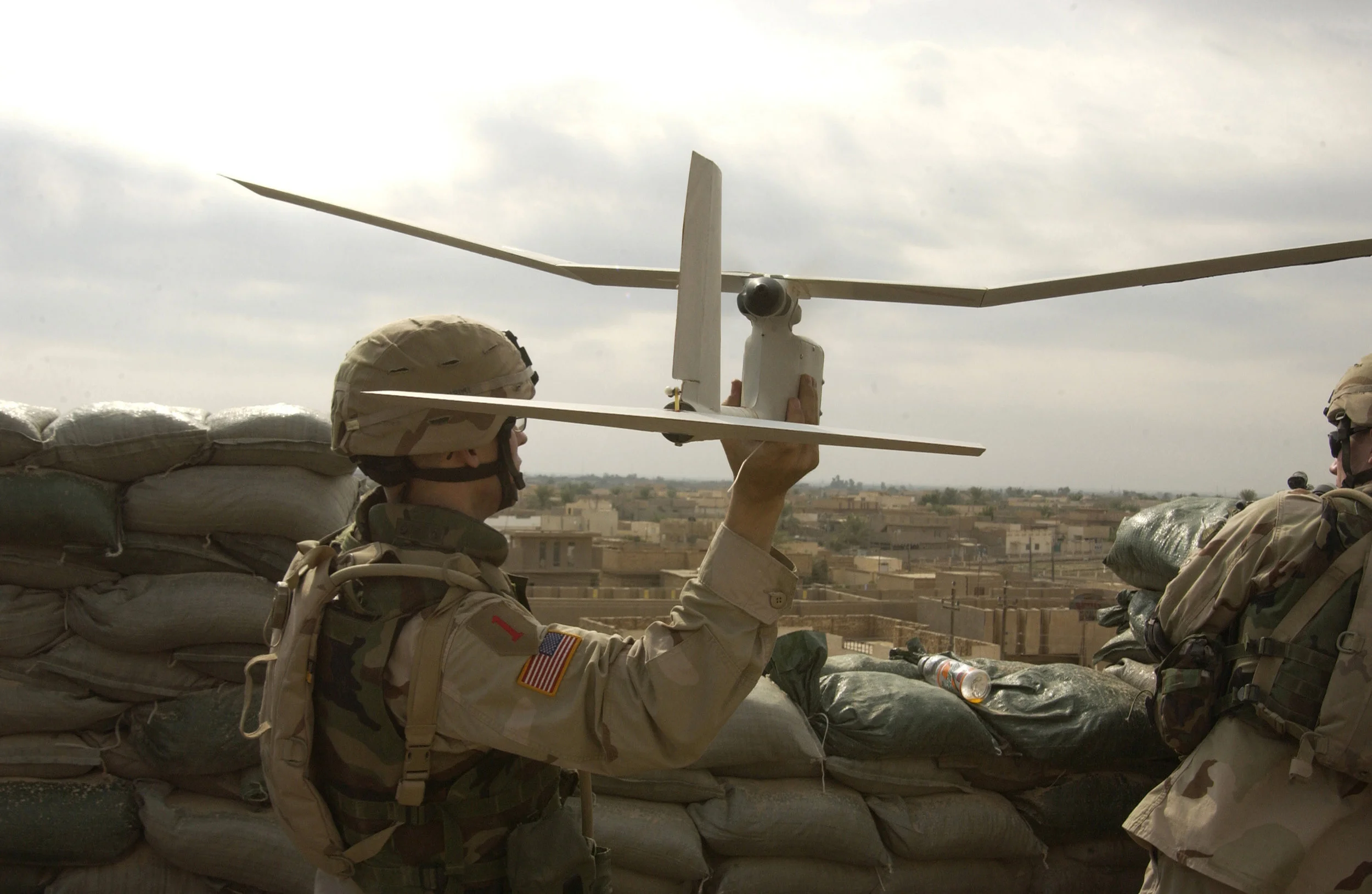 AfghanRaven.jpg