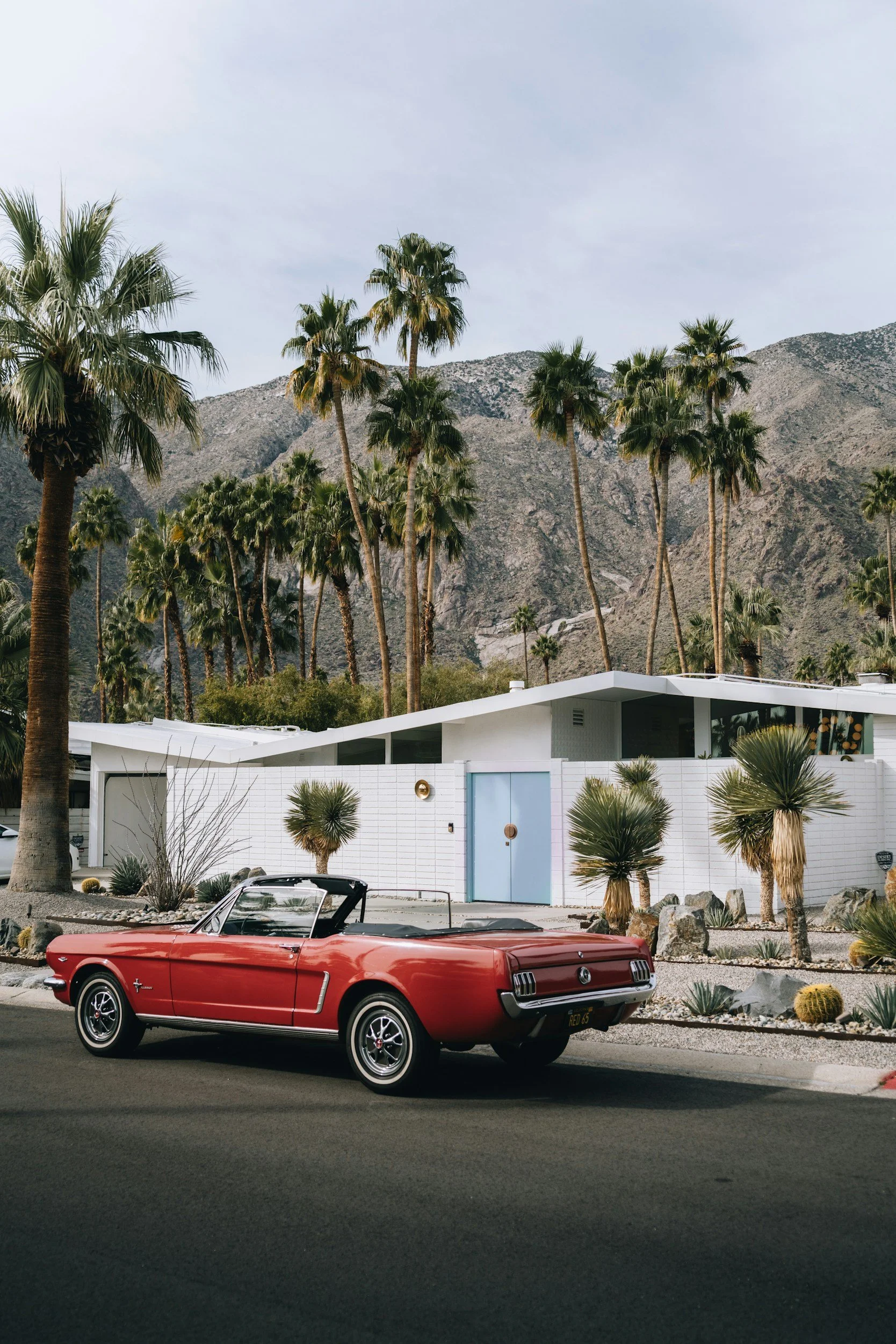 unsplash-image-xY0_JSG_P_w.jpg
