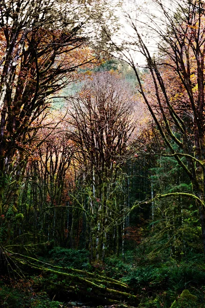 Fall golden ears church125.jpg