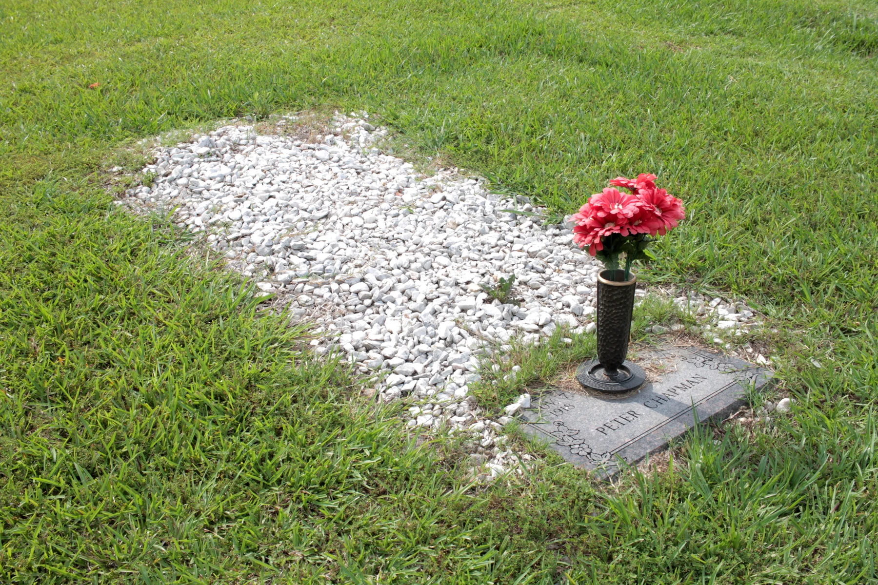 RocksFakeFlowers.jpg