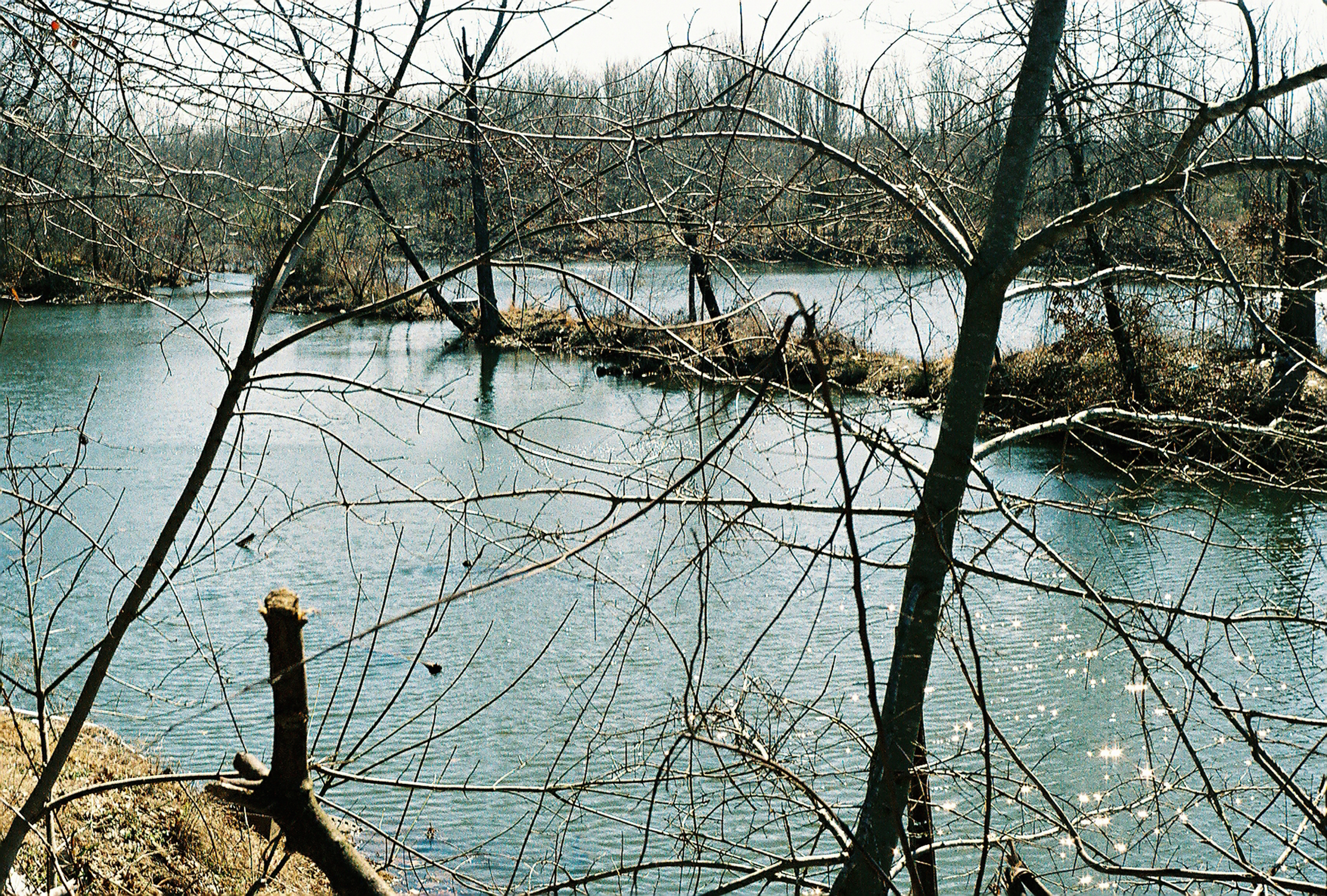 Pond, 330 Block of S. Elm Street