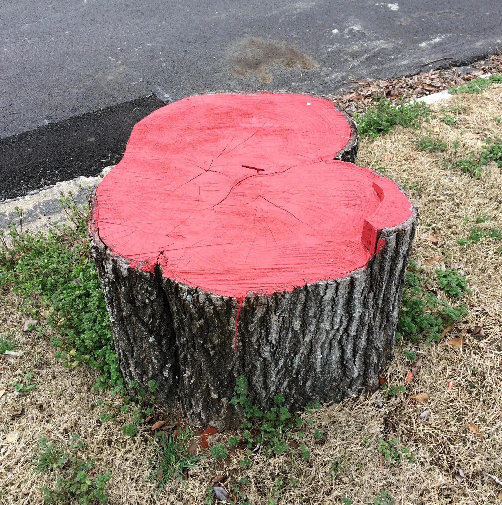 red-stump1.jpg