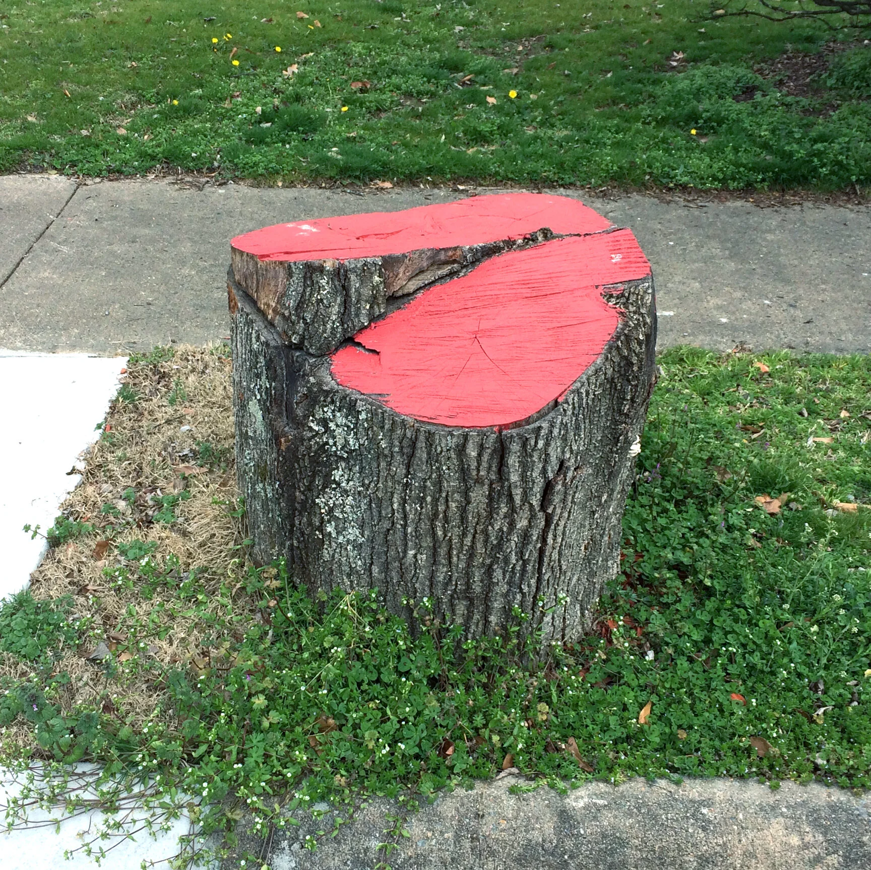 red-stump2.jpg