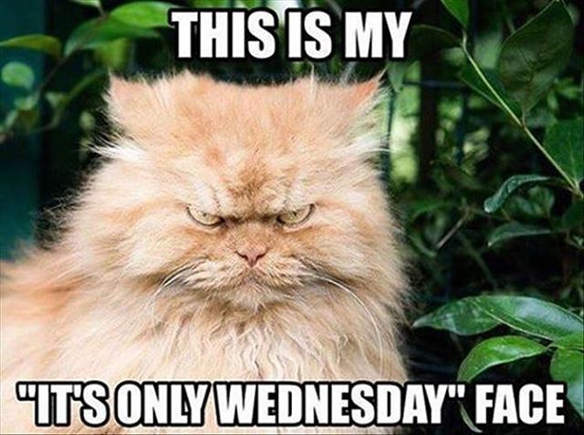 Hang in there everyone. We will get through this... #waitingforfriday #humpday #hair #skin #nails