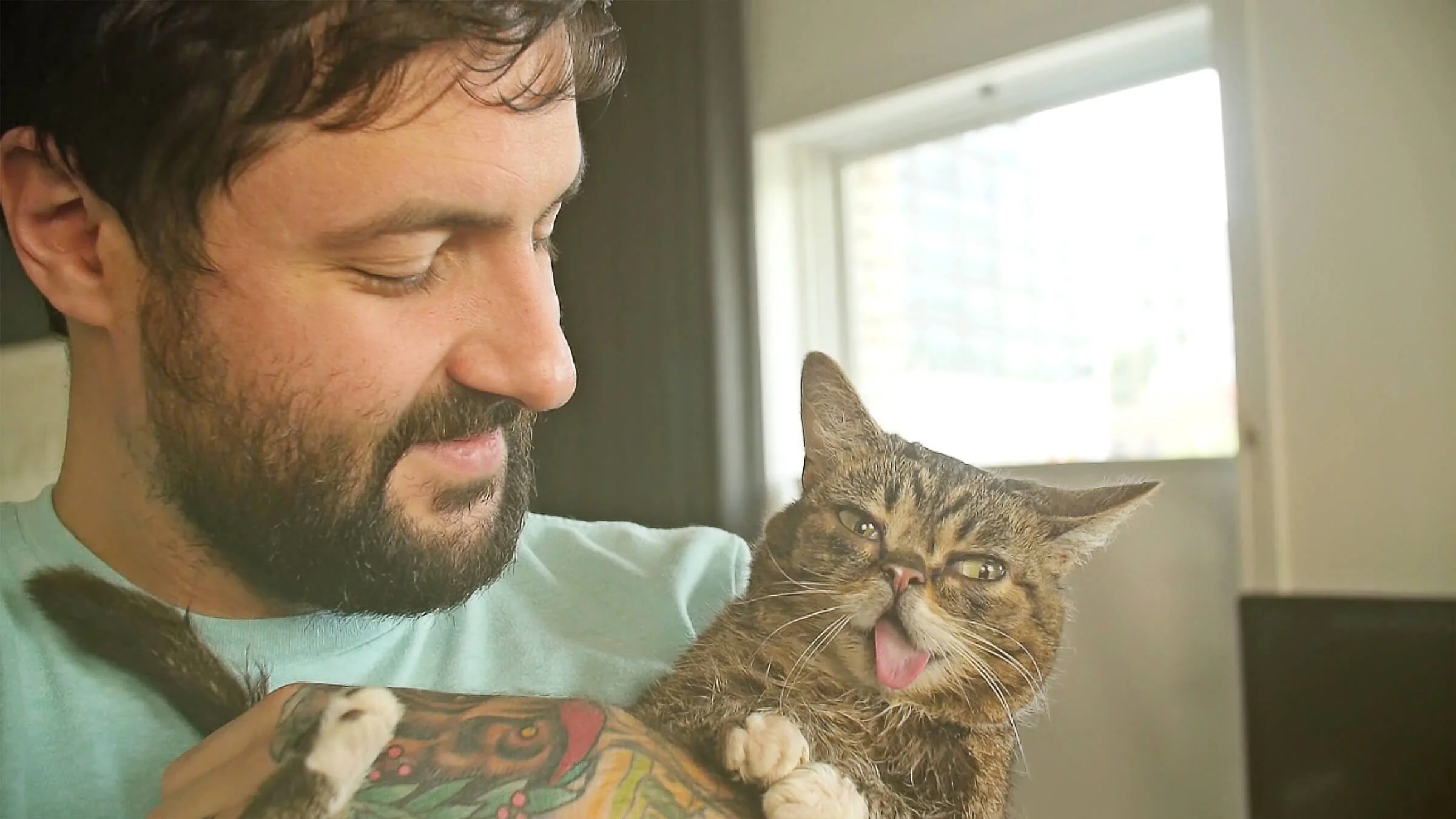 LilBub_1.jpg