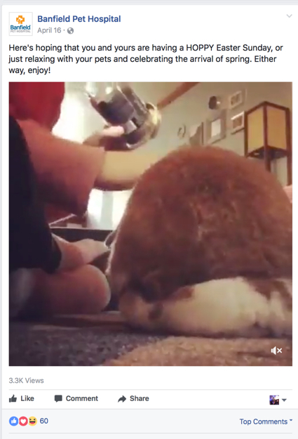 easter.jpg