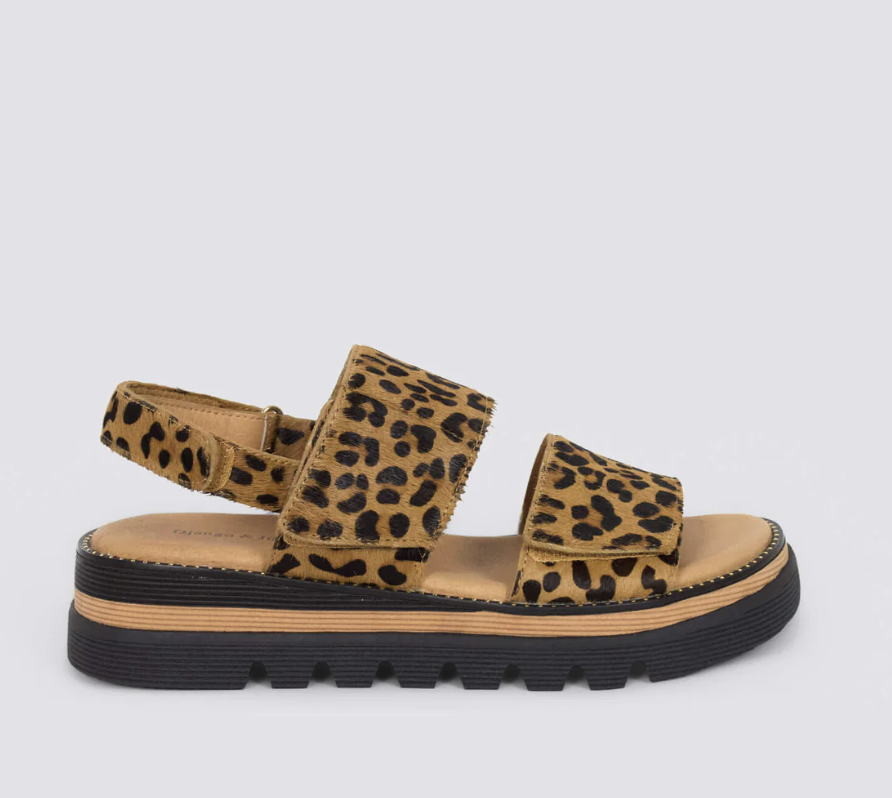 Screenshot 2026-02-08 at 2.41.00 PM.png